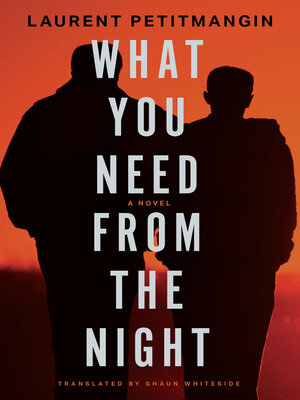 cover image of What You Need from the Night